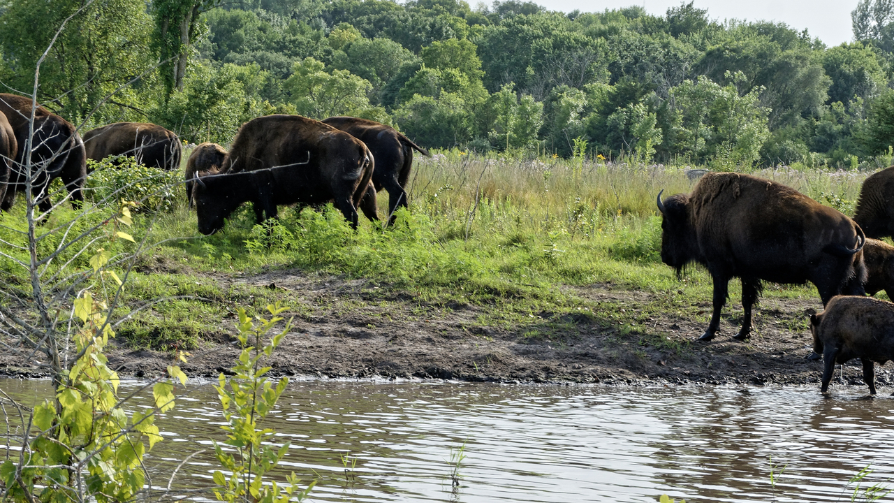 20190801-174002••North Mankato•Minnesota•USA